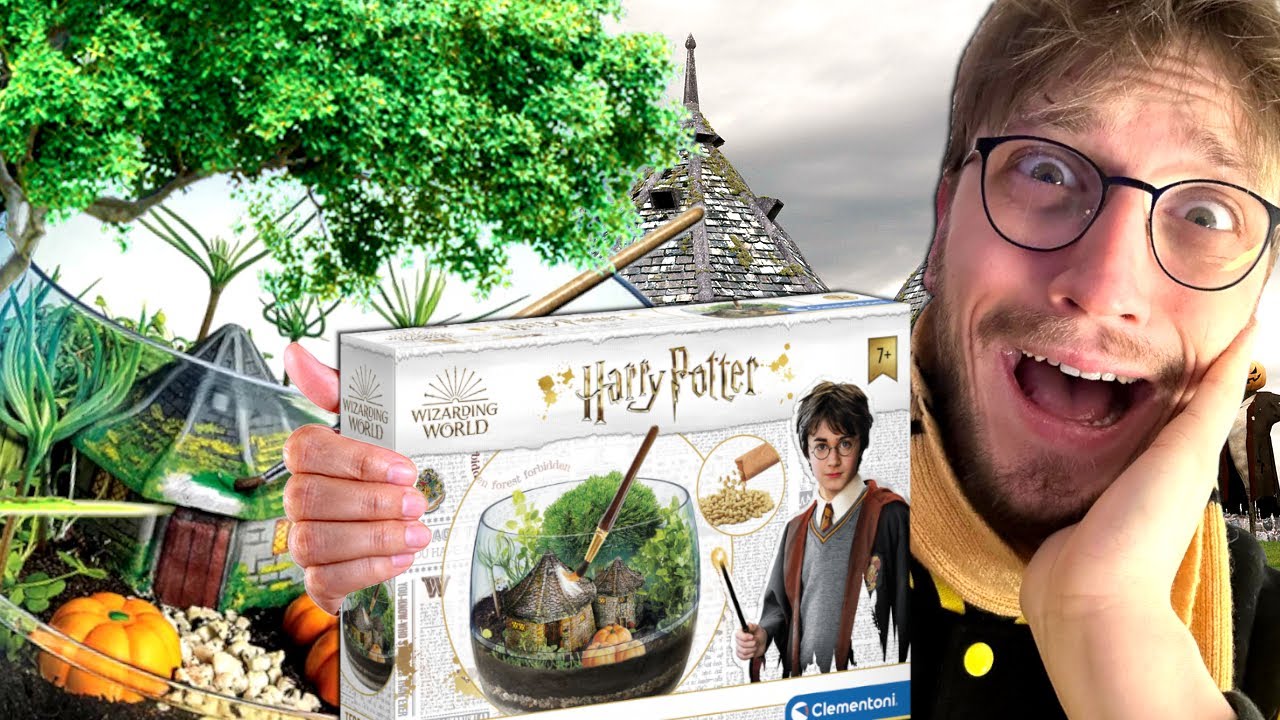 Wir bauen HAGRIDS HUT TERRARIUM 🌱 | DAGILP