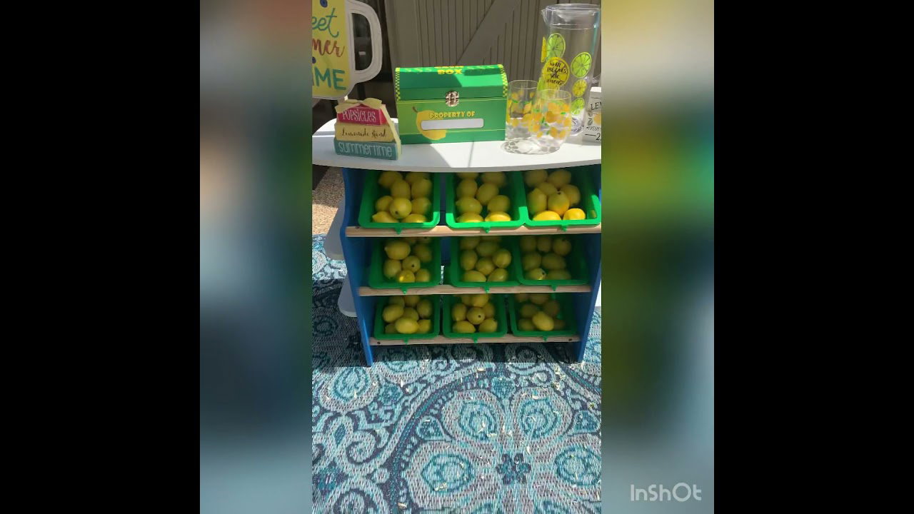 Melissa and Doug Lemonade Stand/ Grocery Store Review