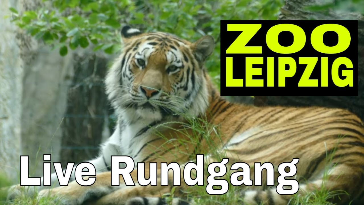 Zoo Leipzig - Der komplette Rundgang durch alle Erlebniswelten!