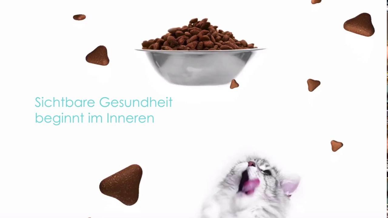 Wie funktioniert Purina ONE® BIFENSIS®? | Purina ONE®