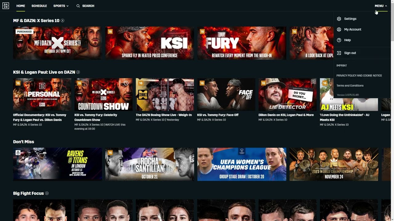 YouTube video player