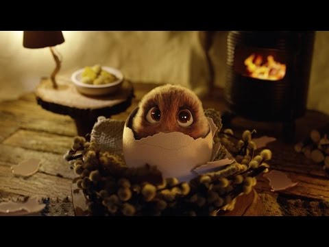 Die Oster-Überraschung – #DerWahreOsterhase