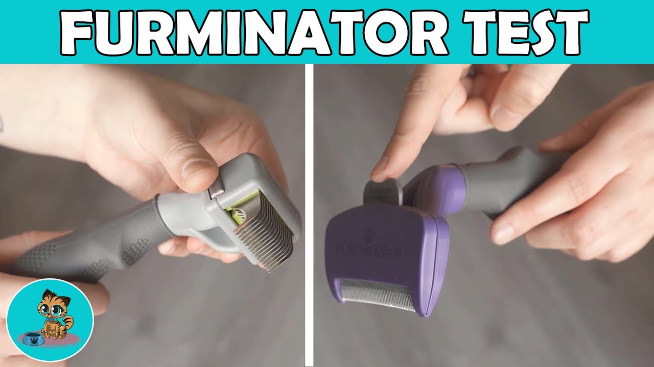 FURminator Katzenbürsten im Test! | Katzenhaare entfernen ✅