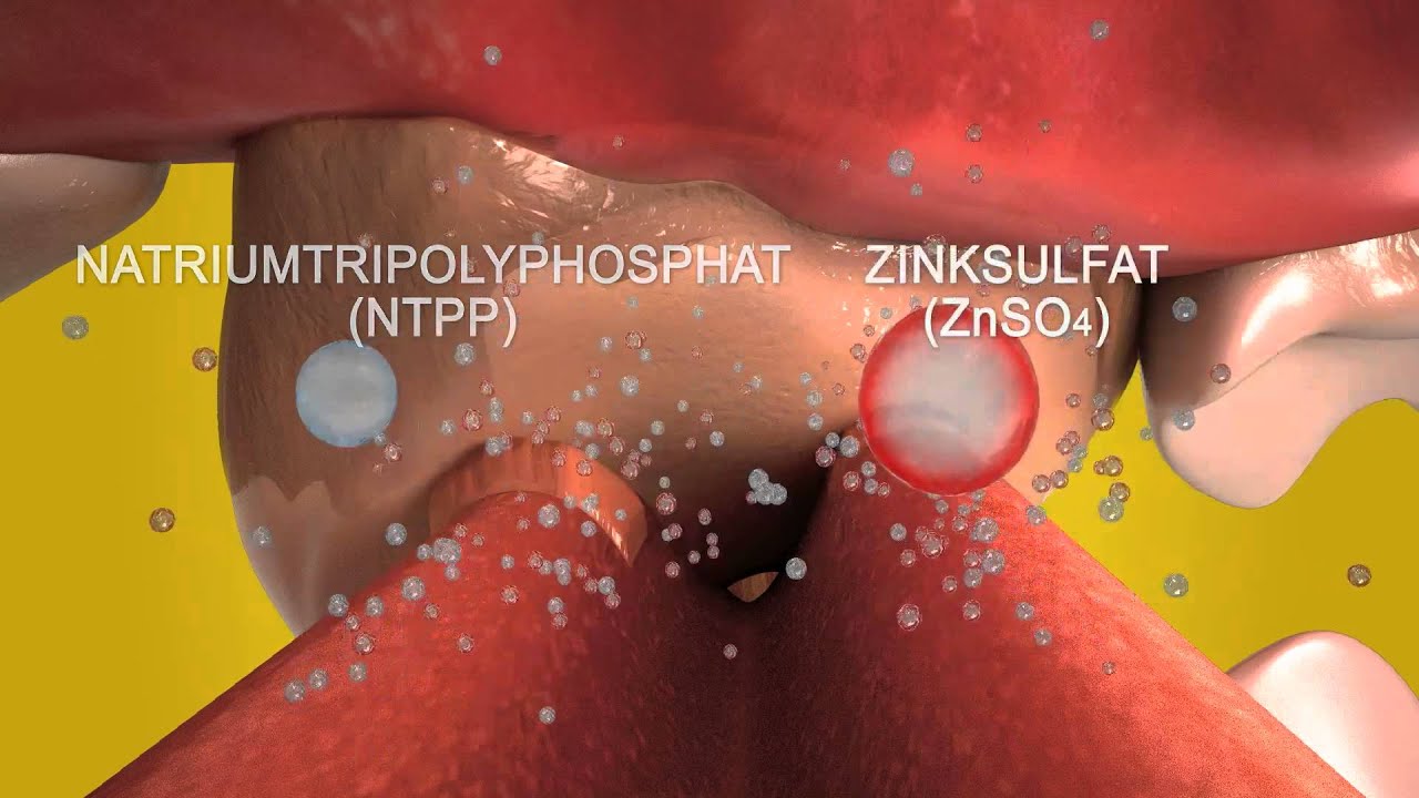 Pedigree DentaStix® - So funktioniert's!