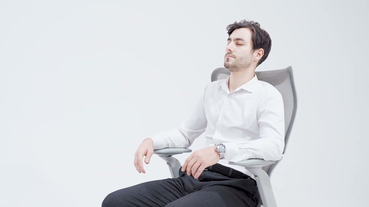 FlexiSpot | Bürostuhl BS8 Pro