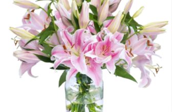 pinke Lilien online bestellen BlumeIdeal de