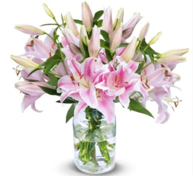 pinke Lilien online bestellen BlumeIdeal de