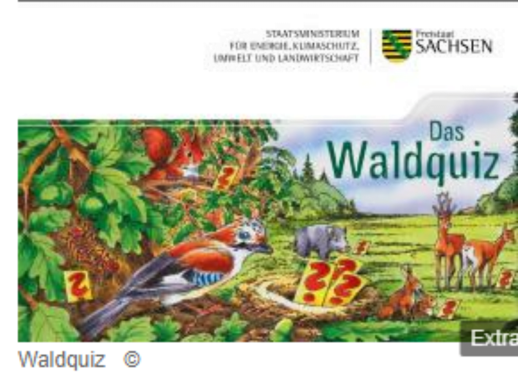 Waldquiz Publikationen Sachsen De