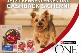 Die PURINA ONE Mini Cashback Aktion ist leider vorbei Purina