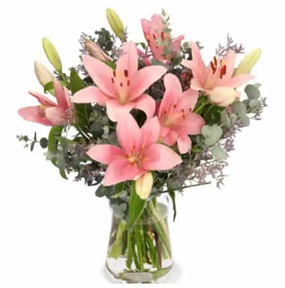 Lilienstrauß Liza für 27,48 € inkl. Versand