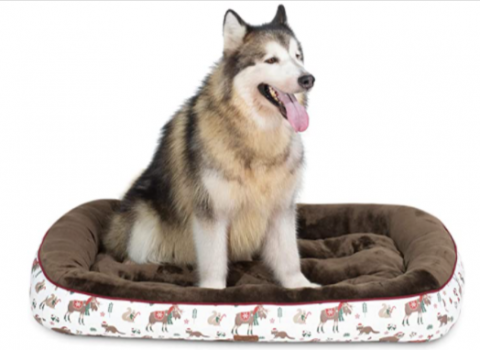 Bedsure Hundebett fuer grosse Hunde Hundebetten niederige Raender mit weiche Fuellungen flauschig auswaehlbar in Beige Braun Groesse in 110x76 cm 18 cm hoch Amazon de Haustier