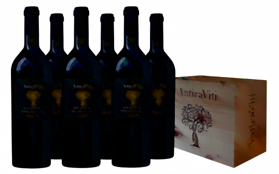 Antica Viti Edizione Numero Uno Vino Rosso Weinkiste