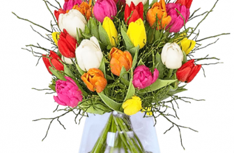 Tulpenstrauss Modern Love mit 17 bunte Tulpen mit Heidelbeeren e1641202057557