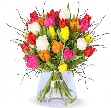 Tulpenstrauss Modern Love mit 17 bunte Tulpen mit Heidelbeeren e1641202057557