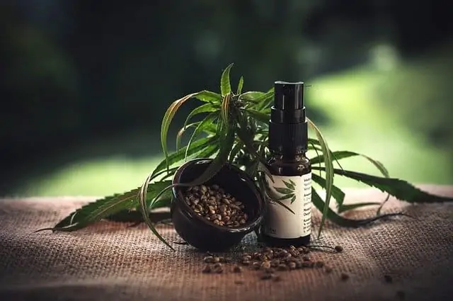 cbd oel