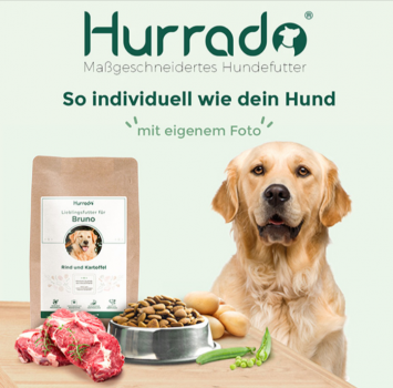 hurrado individuelles testpaket