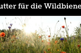 Antworten Blumen pflanzen Bienen schuetzen Campact