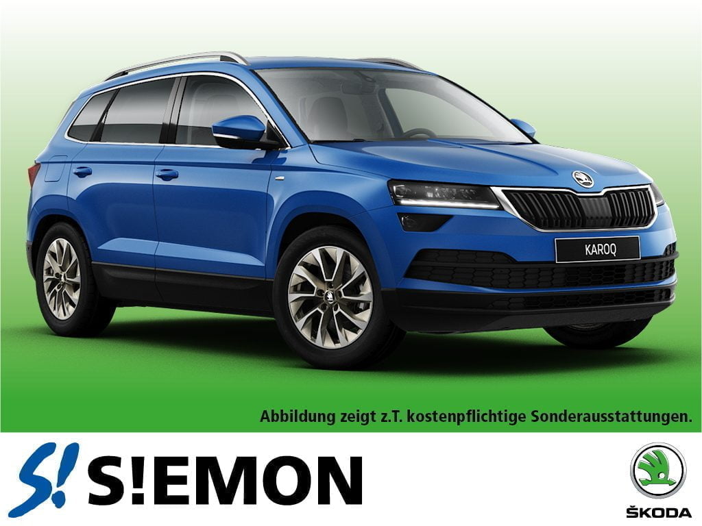 Skoda Karoq Mit 110 Ps