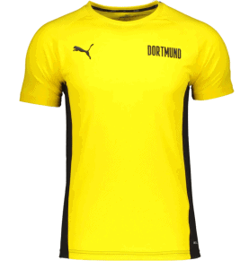 Puma Bvb Dortmund Evostripe Herren Trainingsshirt