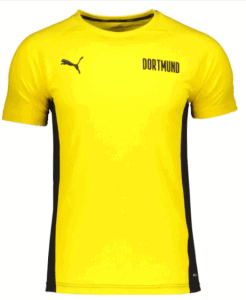 Puma Bvb Dortmund Evostripe Kinder Trainingsshirt