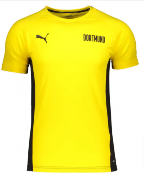 Puma BVB Dortmund Evostripe Kinder Trainingsshirt