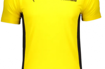 Puma BVB Dortmund Evostripe Kinder Trainingsshirt