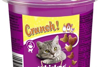 Whiskas Crunch fuer Katzen Katzensnack e1618607249784