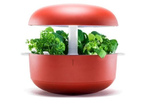 Plantui Smart Garden 6 in rot