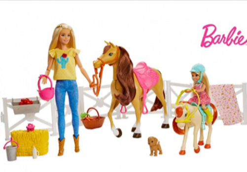 Barbie FXH15 Reitspass Spielset mit Barbie blond Chelsea Pferd und Pony Puppen Spielzeug ab 3 Jahren Amazon de Spielzeug