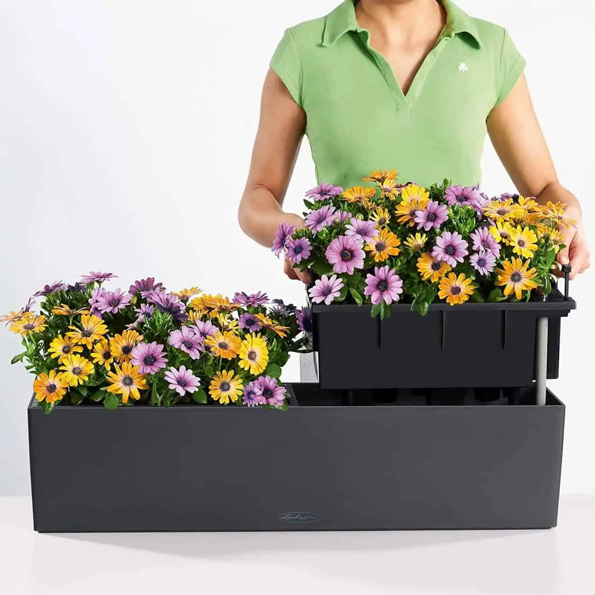 Lechuza Balconera Color 80 Schiefergrau Balkonblumenkasten mit Bewässerungssystem (79 x 19 x 19 cm) für 26,92 € [Prime] statt 36,49 €