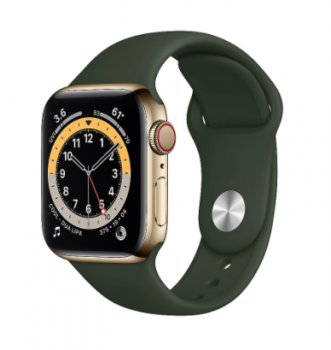 Apple Watch Series 6 LTE 40mm Edelstahlgehaeuse Gold