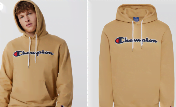 Champion Authentic Athletic Apparel Hoodie in beige ABOUT YOU