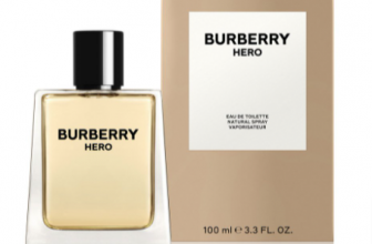 Burberry Hero Eau de Toilette 100ml