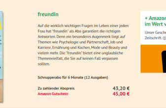 Halbjahresabo 12 Ausgaben Feundin e1632930259246