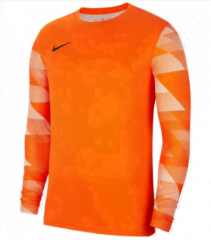 Nike Park IV Torwart Trikot langarm