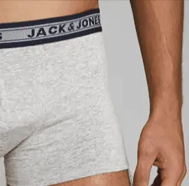 5Stk. Jack & Jones Herrenboxershorts, grau (S-XXL) 17,64 € inkl. Prime-Versand (statt 28,00 €)