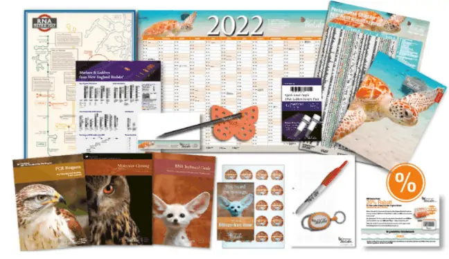 Gratis: NEB Starter Paket kostenlos bestellen (Jahresplaner, Post Its, Schlüsselring und mehr)