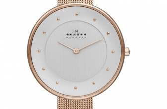 Skagen Gitte SKW2142 ab 49 90 E Preisvergleich bei idealo de