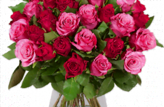 Blumenstrauss miz 35 Rosen RomanticRoses e1635748890622