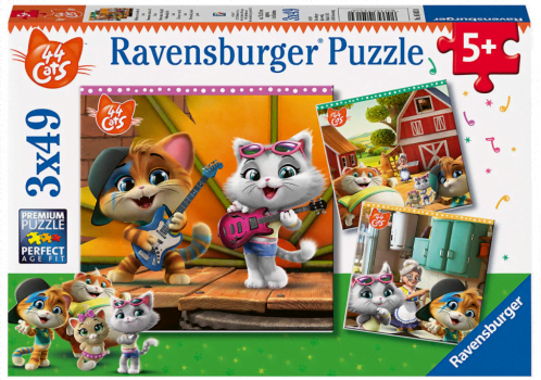 Ravensburger Kin