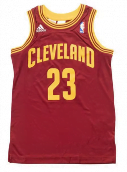 Adidas Kinder Trikot Cleveland Cavaliers