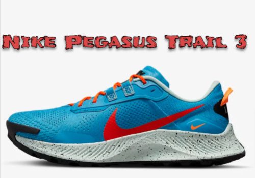 Nike Pegasus Trail 3 Trail Laufschuh fuer Herren Nike DE