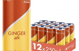 Organics by Red Bull Ginger Ale Dosen Bio 12er Palette 12 x 250 ml e1640167105977