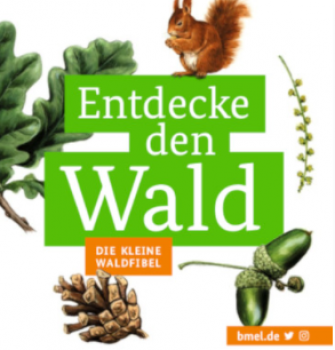 BMEL Publikationen Entdecke den Wald Die kleine Waldfibel