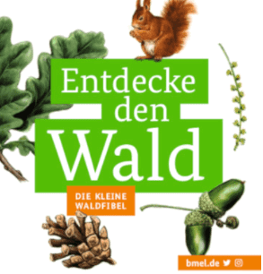 Bmel Publikationen Entdecke Den Wald Die Kleine Waldfibel