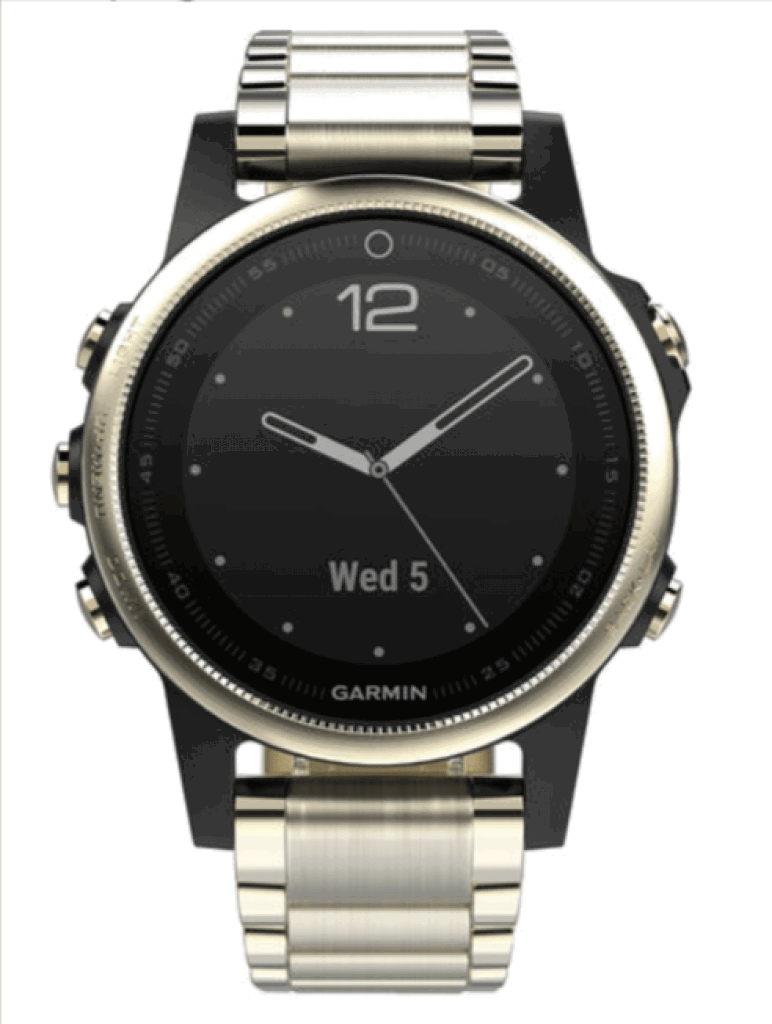 Garmin Fenix 5S Saphir Smartwatch