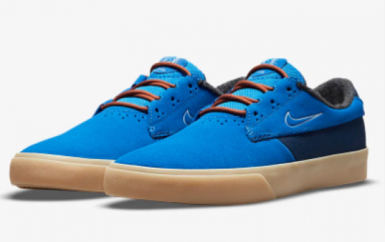 Nike SB Shane Premium Skateboardschuh. Nike DE