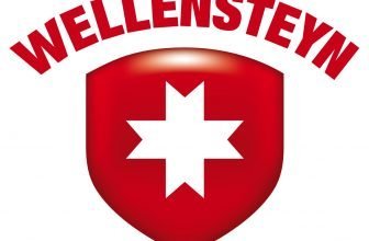 Wellensteyn logo e1643194224103