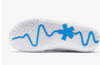 Nike Air Zoom Pulse Schuh. Nike DE