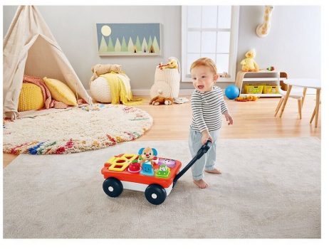 fisher price lernspass bollerwagen 1